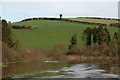 The Quoile Pondage near Downpatrick (5)