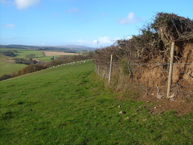Field boundary above Woodbrooke