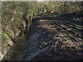 Track and ditch, Willow Bank Farm