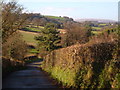 Lane to East Fingle