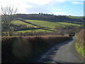 Fingle Brook valley from above Veet Mill Farm