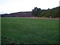 Large field of improved grassland