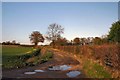 Track to Red Barn Farm