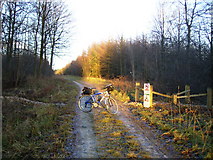SE8786 : Mountain bike track junction on Hawdale Rigg in Dalby Forest by Phil Catterall