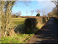 Lane to Fingle Farm