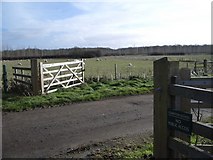SP8554 : Sheep Pastures at Chase Park Farm south of Yardley by Nigel Stickells