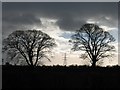 Saltney Ferry Electricity Pylon