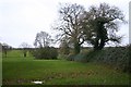 Footpath to Maypole Green