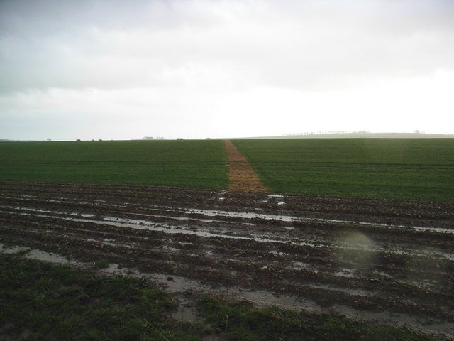 Footpath across waterlogged field
