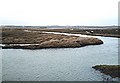 Brandy Hole Marshes