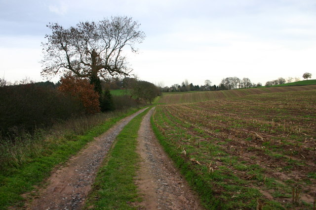 An Off-Road Route to Bury Bank