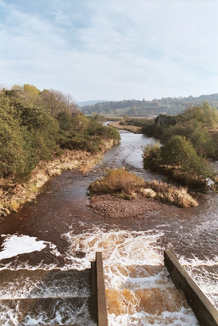 Salmon Run on River Breamish from Hedgeley Bridge