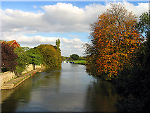 SU4996 : The River Thames at Abingdon by Pam Brophy