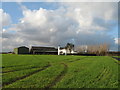 Penny Lane Farm, Cronton