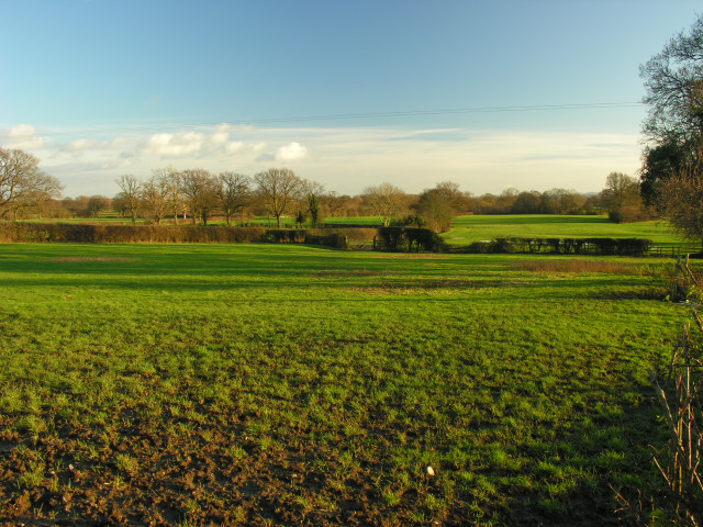 View from footpath across fields south of Crickheath