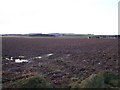 Soggy Field Near Firth Muir of Boysack