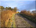 The road to Whitelee Farm