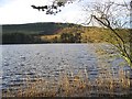 Catcleugh Reservoir