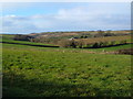 Borough Farm from Hembury Cross