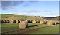 Bales at Hudspeth Farm