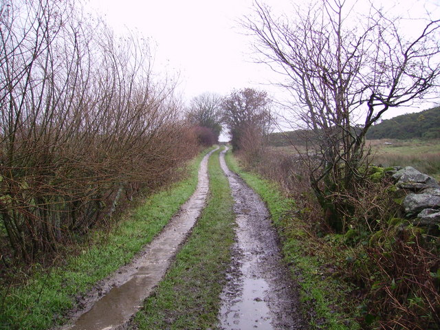 Track Above Dalton Park Wood