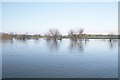 SO8540 : River Severn Flood Plain by Bob Embleton