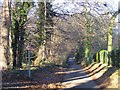 Pound Lane, looking north