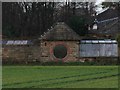 Through the Round Window.