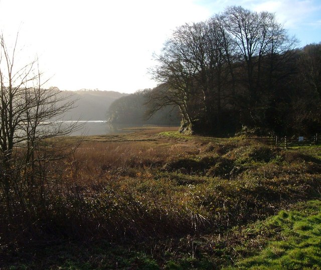 Erme estuary at Efford House