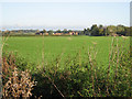 Towards Abergavenny Farm