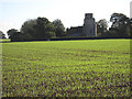 Towards Scoulton Church