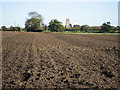 Towards Carbrooke Church