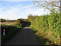 The Lane To Holme Hale