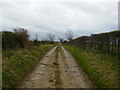 Bridleway leading to Caukleys Bank from Nunnington