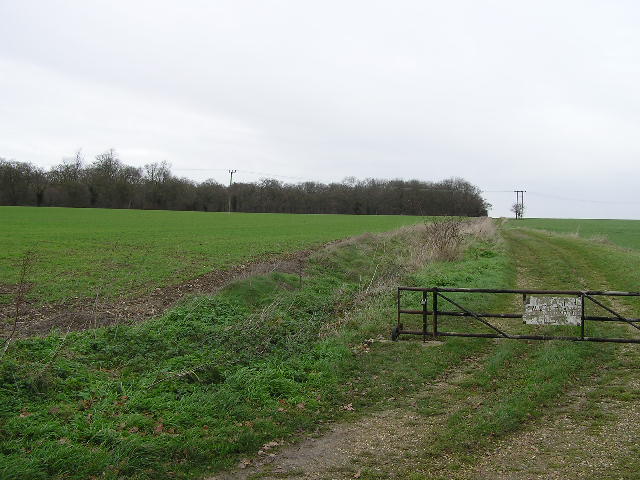 Track to Easty Wood