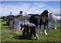 Blacksmithing demonstration at Fishguard show