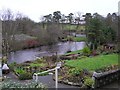 Camowen River, Omagh