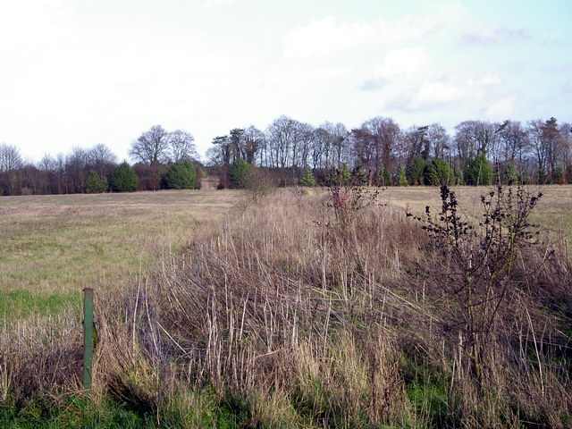 Field boundary/track north of Sutton Down Farm