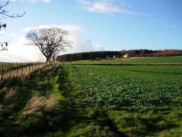 View over farmland to Weather Hill House and Wood