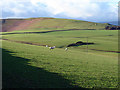 Open farmland near Waun y Gadair