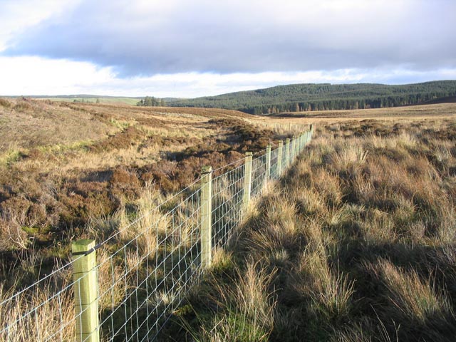 A moorland fence