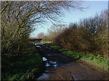 TA3524 : South Leys Road, Hollym by Paul Glazzard