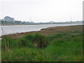 Lytchett Bay