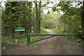 Entrance to Hethfelton Wood, East Stoke