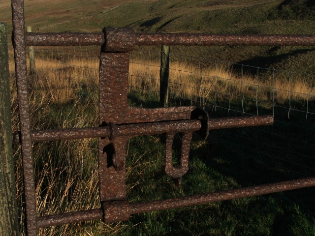 Detail of Iron Gate on Cragdale Moor.