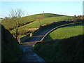 Lane past Hareston Farm