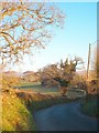 Lane near Treby Farm