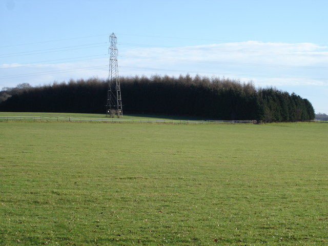 Downland near Stapleton Farm