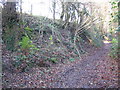 Footpath to Godswell Grove