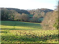 Heddon Wood from beside Rough Torrs